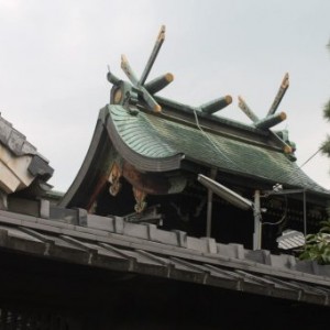 Walking lecture avec Peter Macintosh à Kyoto