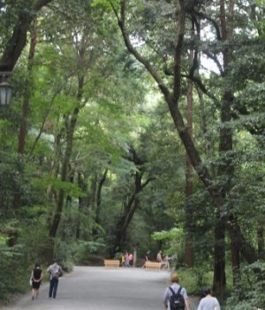 allée dans le parc Yoyogi à Tokyo