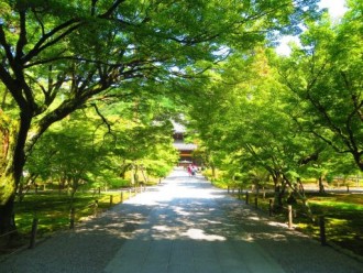 allée principale du complexe de Nanzen-ji