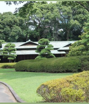 dans le jardin du palais impérial à Tokyo