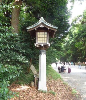 dans le parc Yoyogi
