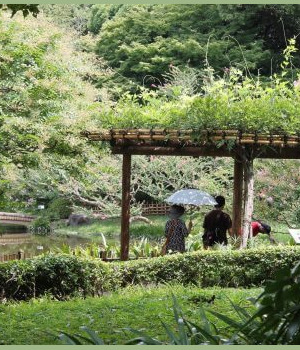 en se promenant autour de la pièce d'eau