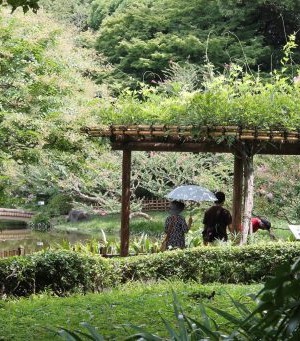 en se promenant autour de la pièce d'eau