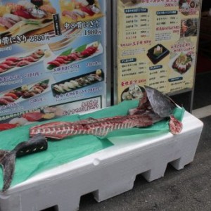 fraîcheur du poisson proposé aux clients sur le marché aux poissons de Tsujiki