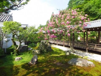 magnifique jardin dans le complexe du Nanzen-ji