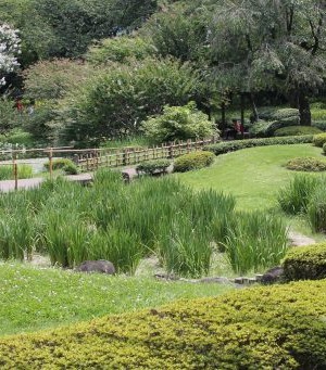 mariage de l'eau et de la verdure dans le jardin du palais impérial