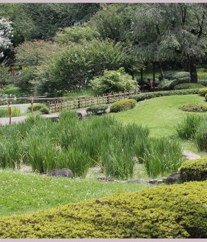 mariage de l'eau et de la verdure dans le jardin du palais impérial