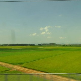 rizières le long de la ligne du shinkansen