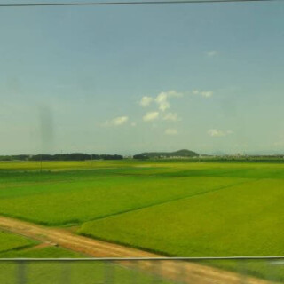 rizières le long de la ligne du shinkansen