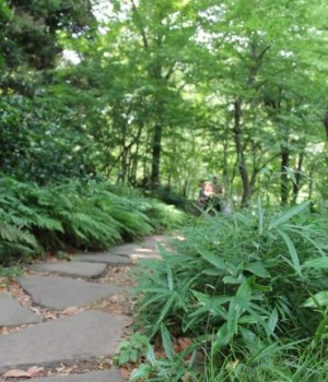 sur le chemin jardins impériaux à Tokyo