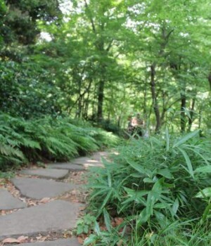 sur le chemin jardins impériaux à Tokyo