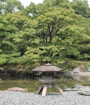 sérénité japonaise dans le jardin du palais impérial
