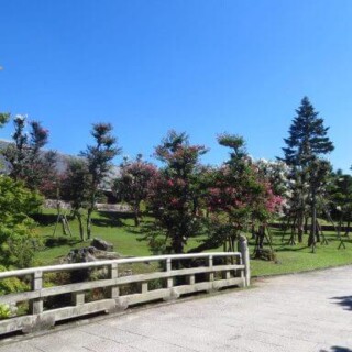 de la couleur dans le parc de Nara