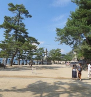 grande allée à Miyajima