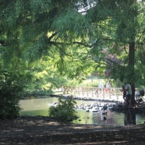 le buccolique parc sempione à Milan