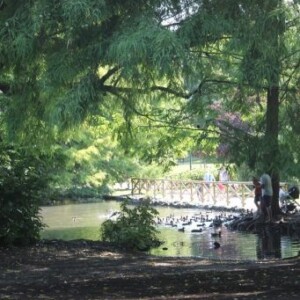 le buccolique parc sempione à Milan