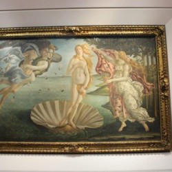 Gallerie des offices à Florence Botticelli La naissance de Venus